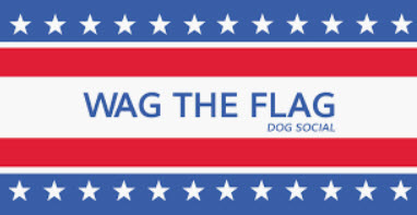 Wag the Flag