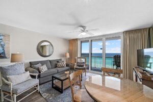 Living room and the view